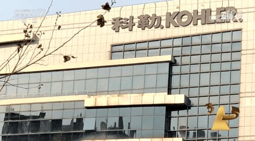 315曝光警示 商品批发贸易暗藏猫腻，消费者与企业需共同警惕