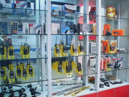 宁波河盛通电子在商品批发贸易中的优势与前景